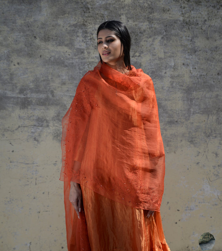 Orange Tonal Hand Embroidered Organza Dupatta