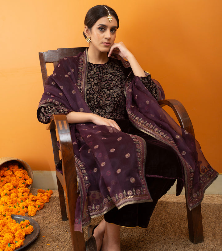 Plum Hand Embroidered Velvet Suit Set