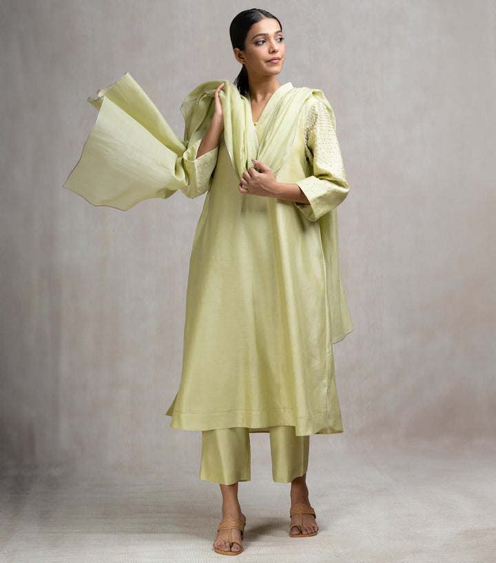 Hand Embroidered Kurta Set with Sequinned Sleeves