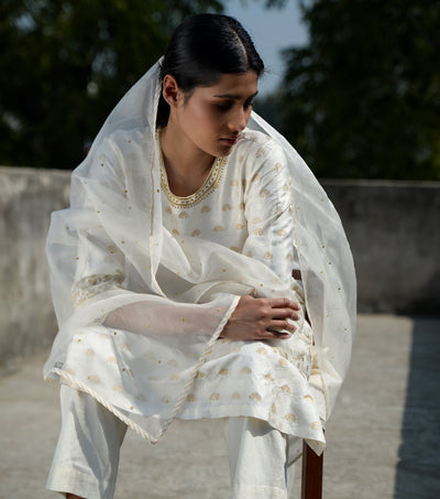 Zari Embroidered Organza Dupatta