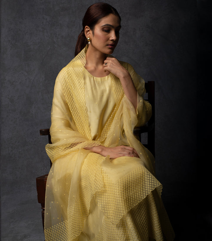 Light Yellow Thread Embroidered Suit Set