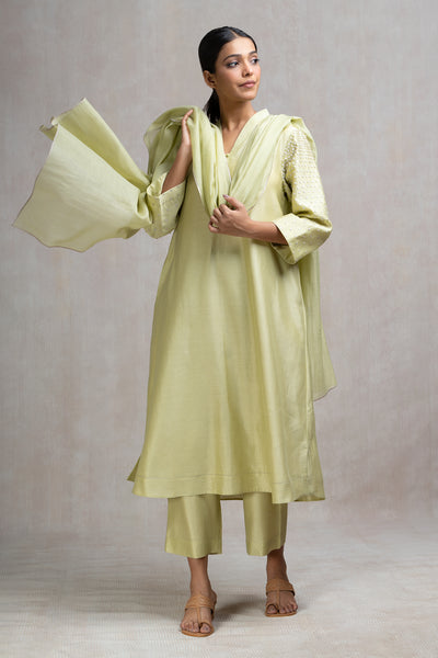 Hand Embroidered Kurta Set with Sequinned Sleeves