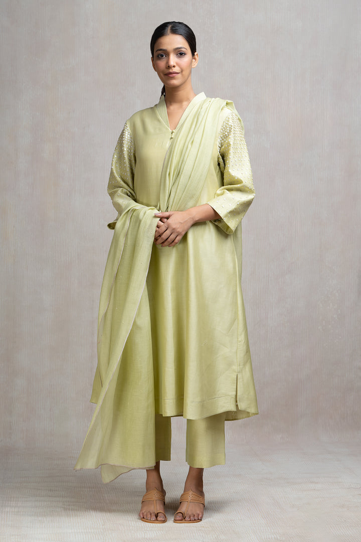 Hand Embroidered Kurta Set with Sequinned Sleeves