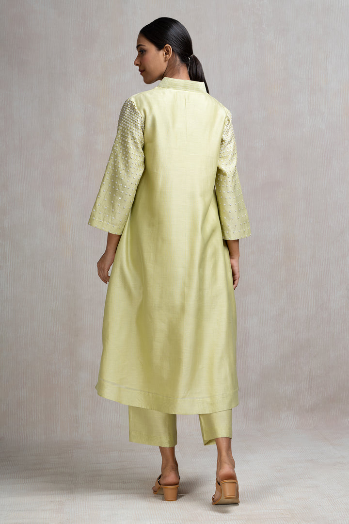 Hand Embroidered Kurta Set with Sequinned Sleeves