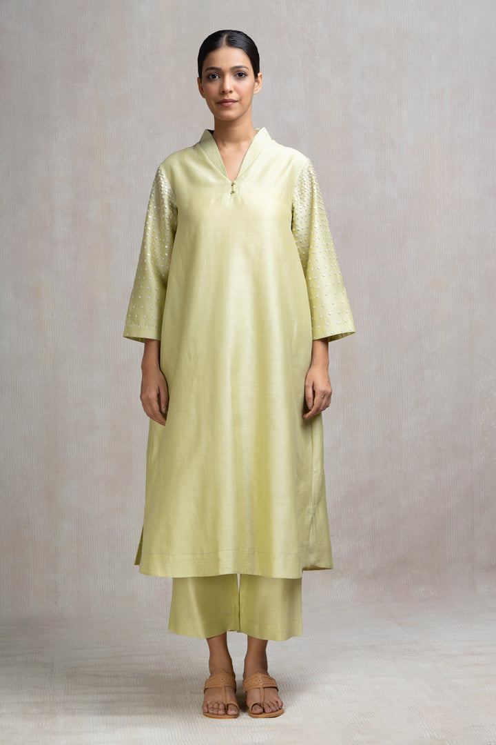 Hand Embroidered Kurta Set with Sequinned Sleeves