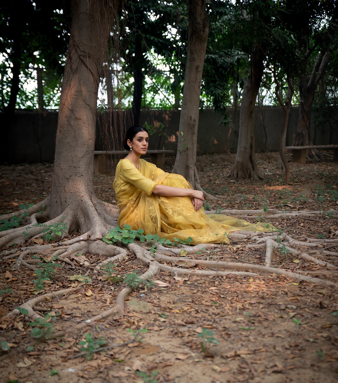 Yellow Hand Embroidered Organza Saree