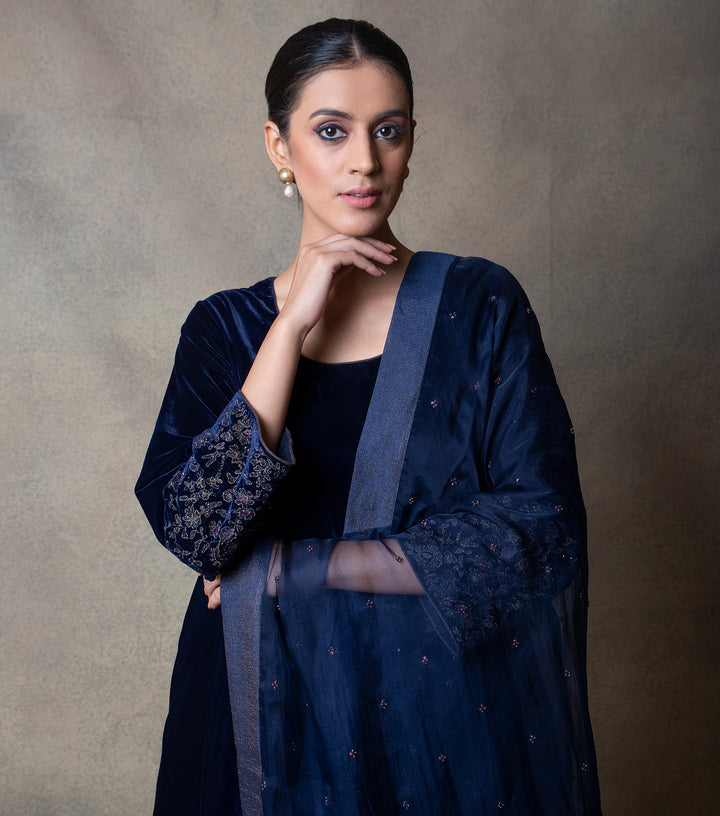 Navy Blue Hand Embroidered Organza Dupatta