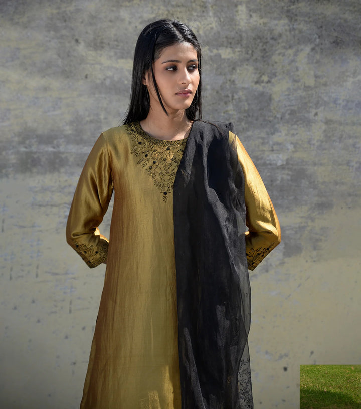 Jasmine Border Dupion Silk Kurta Set With Embroidered Organza Dupatta