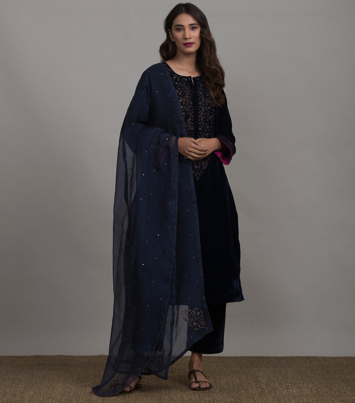 Navy Organza embroidered Dupatta