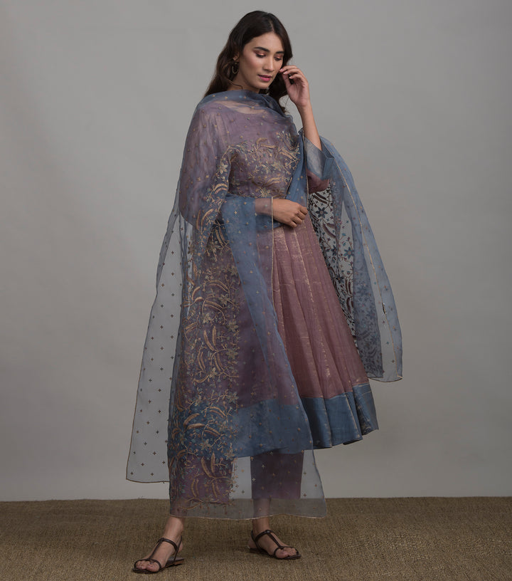 Blue organza embroidered dupatta