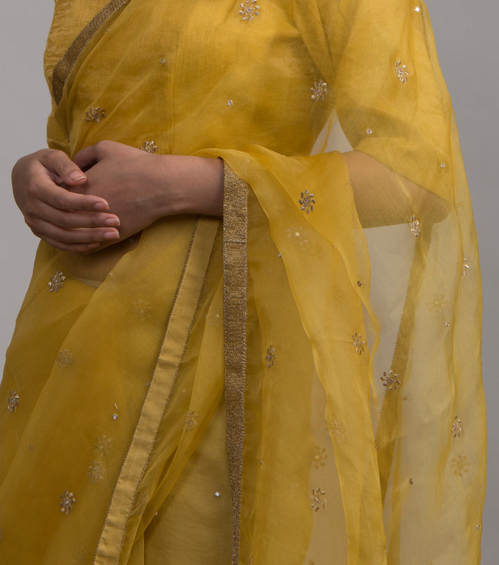 Yellow embroidered organza saree