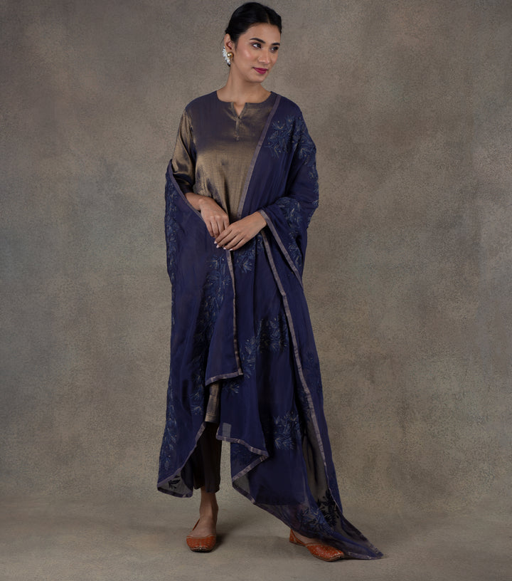 Navy Blue embroidered Organza dupatta